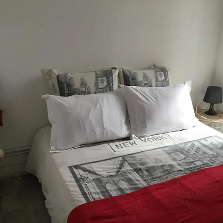 Hotel Du Centre 3*